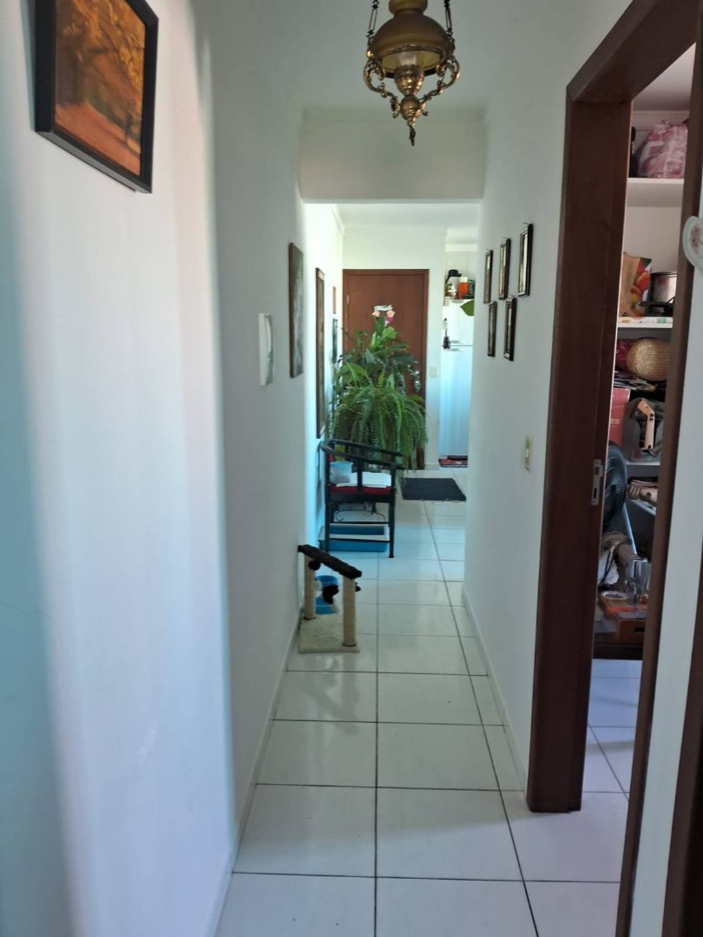 IMÓVEL A VENDA EM INGLESES