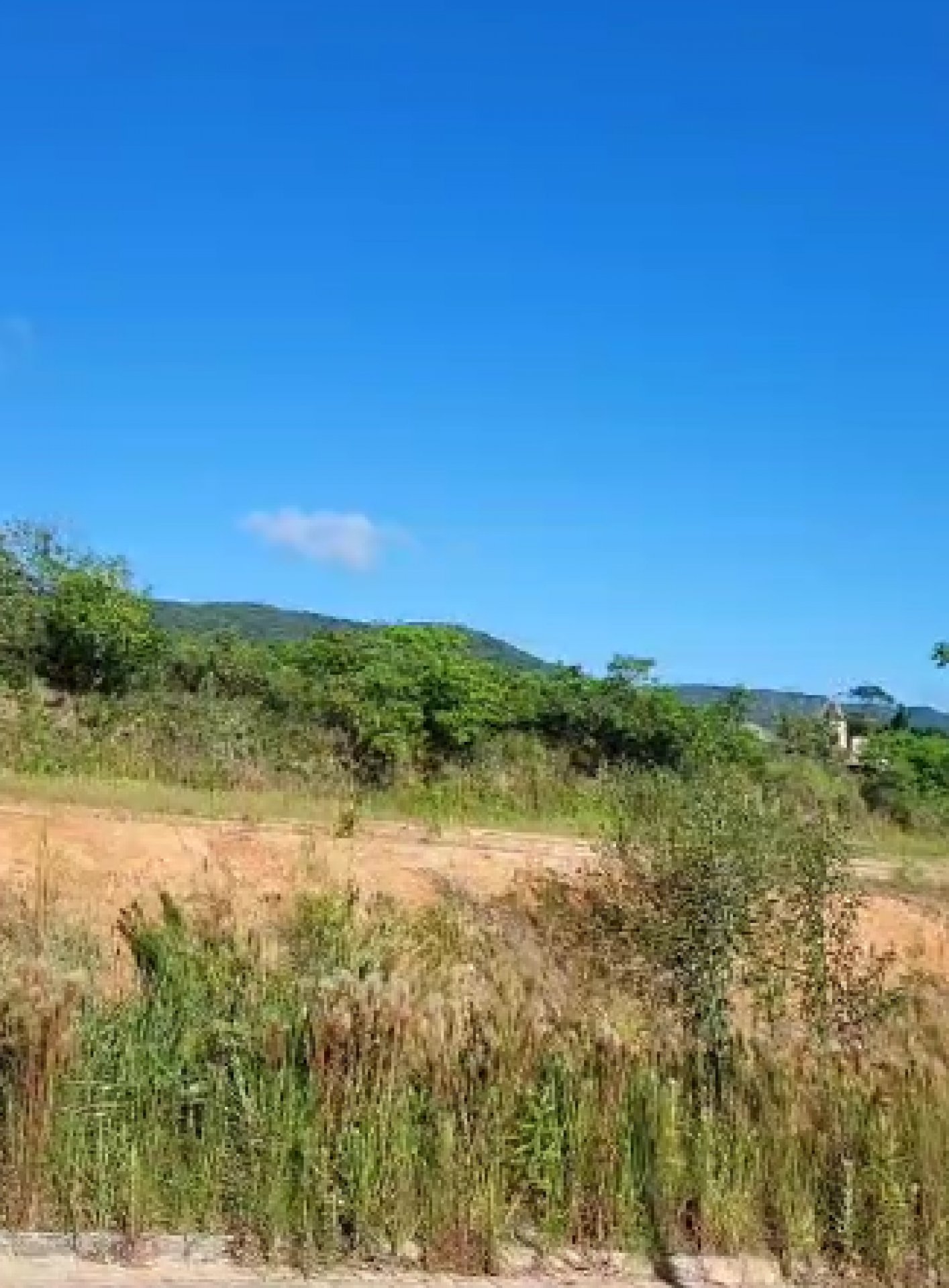Lote / Terreno no Loteamento Milano em Forquilhas - São José