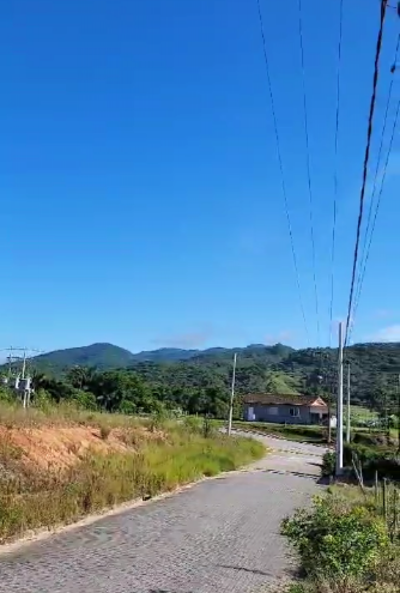 Lote / Terreno no Loteamento Milano em Forquilhas - São José