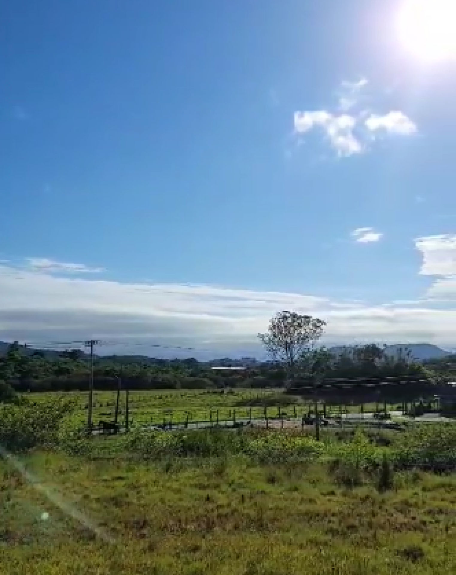 Lote / Terreno no Loteamento Milano em Forquilhas - São José