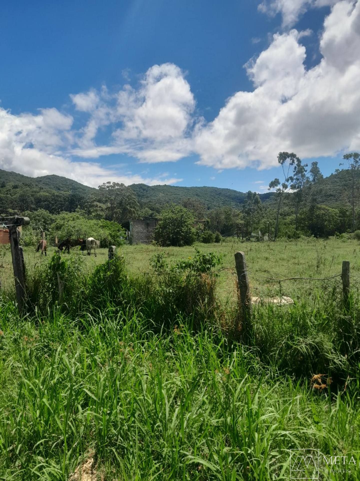 Terreno rural 5.280m² em Ratones - Florianópolis/SC