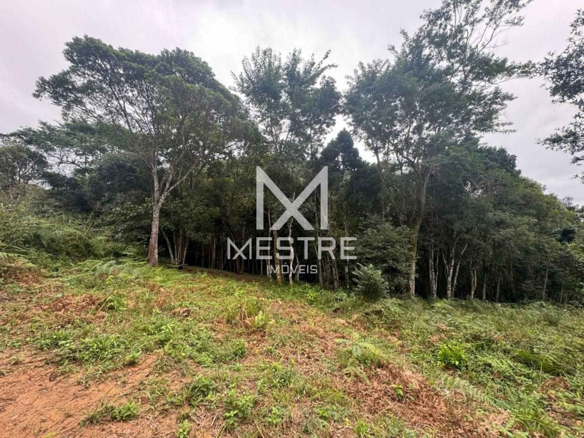 TERRENO PARA VENDA COM VISTA MAR