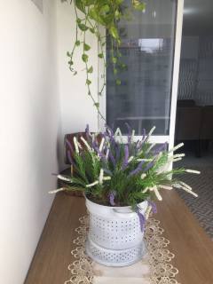 APARTAMENTO NA QUADRA MAR EM ITAPEMA - SC