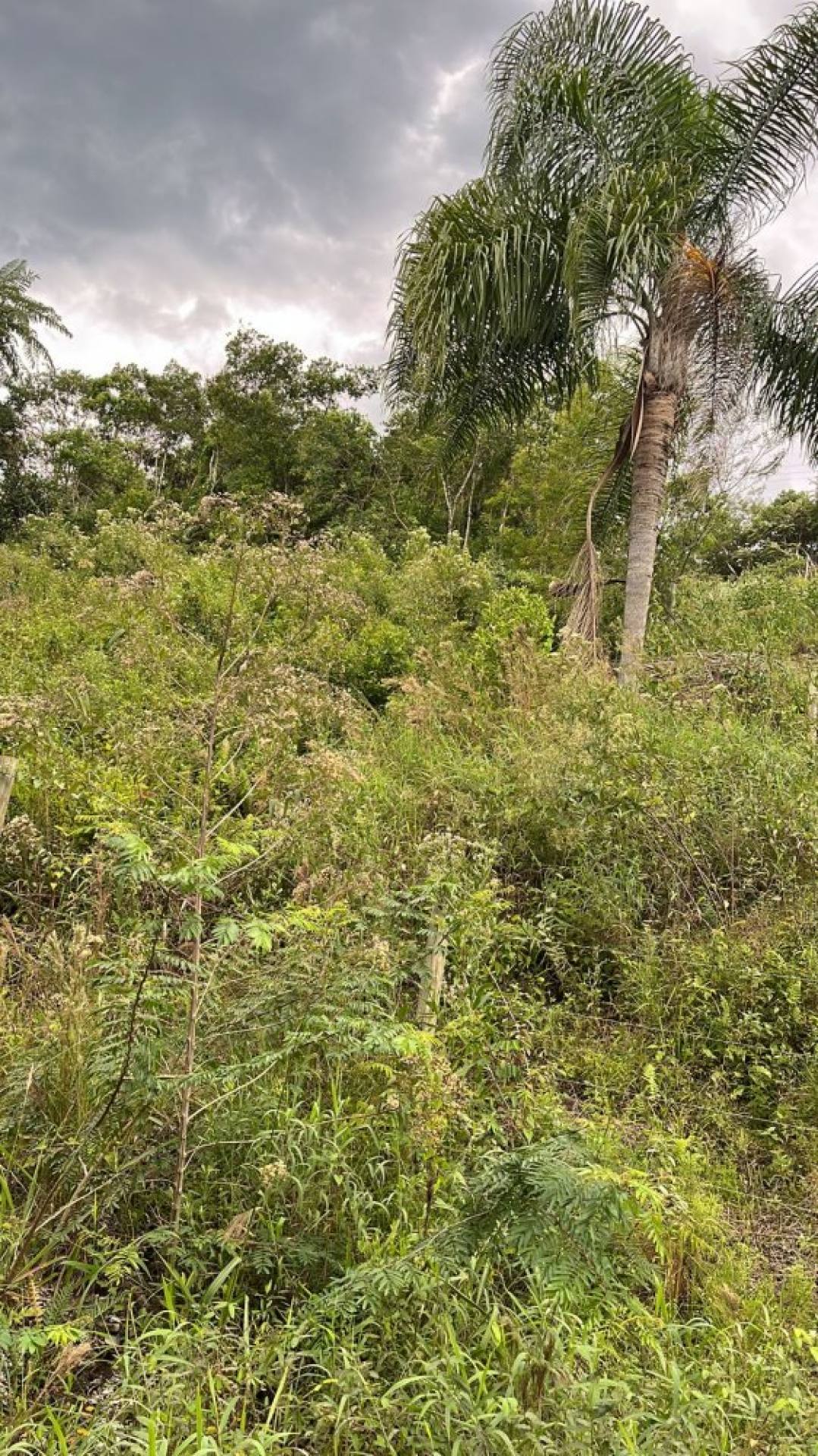 TERRENO NO CANTO DA PRAIA - ITAPEMA SC