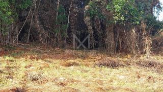 Lote para venda em Rancho Queimado | Ref.180185  + Por R$ 270.000,00