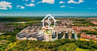 Aurora dos Pássaros