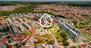 Aurora dos Pássaros