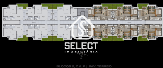 Aurora dos Pássaros