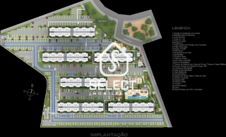 Aurora dos Pássaros