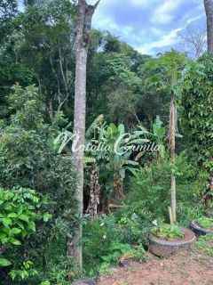 CASA EM CÓRREGO DE ALMAS/ARANHA