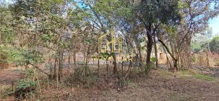 EXCELENTE OPORTUNIDADE VENDE-SE UMA CHACARA EM ALBERTO FLORES!!