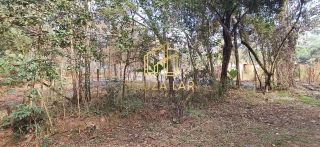EXCELENTE OPORTUNIDADE VENDE-SE UMA CHACARA EM ALBERTO FLORES!!