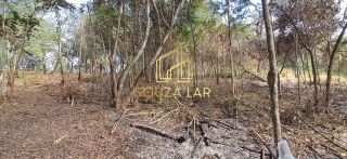 EXCELENTE OPORTUNIDADE VENDE-SE UMA CHACARA EM ALBERTO FLORES!!