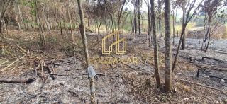 EXCELENTE OPORTUNIDADE VENDE-SE UMA CHACARA EM ALBERTO FLORES!!
