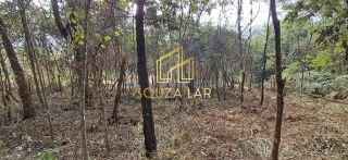 EXCELENTE OPORTUNIDADE VENDE-SE UMA CHACARA EM ALBERTO FLORES!!