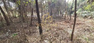 EXCELENTE OPORTUNIDADE VENDE-SE UMA CHACARA EM ALBERTO FLORES!!