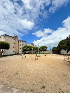 APARTAMENTO BOSQUE DAS PALMEIRAS