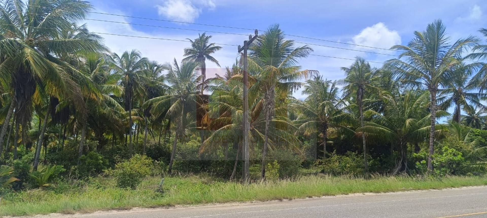 Lote / Terreno de Bairro Para Vender em Barra Dos Coqueiros.