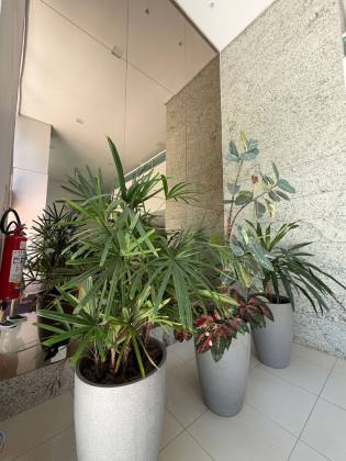 Living Residence / Sombra / 3 suites