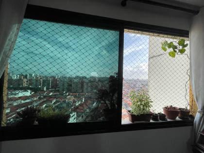 Terra Brasilis |  Sala ampliada / Alameda das Arvores