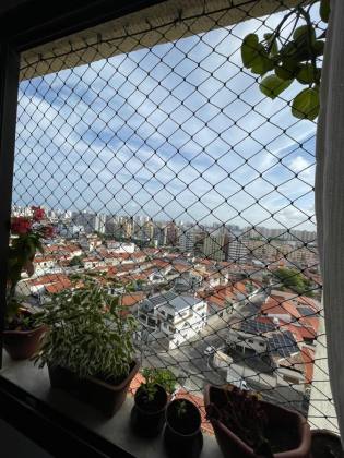 Terra Brasilis |  Sala ampliada / Alameda das Arvores