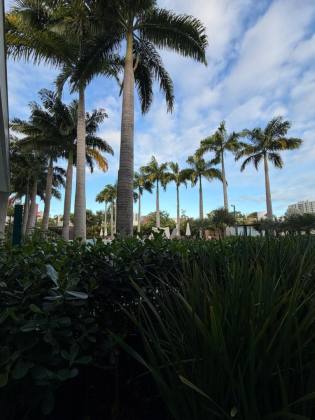 LOTES À VENDA NO RESERVA PARK | FAROLÂNDIA – ARACAJU