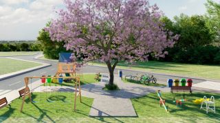 JOANES PARQUE F1