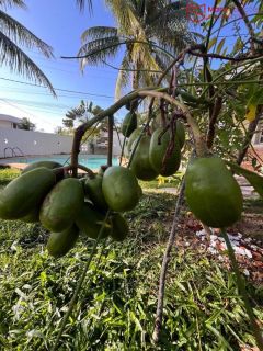 Casa no Condomínio Vilas do Jacuipe.