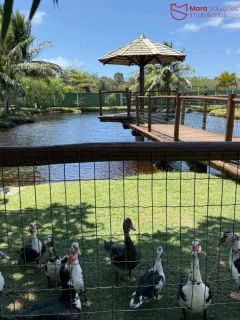 Casa Alto Padrão no Condomínio Reserva Mundo Verde – Abrantes / Lauro de Freitas.