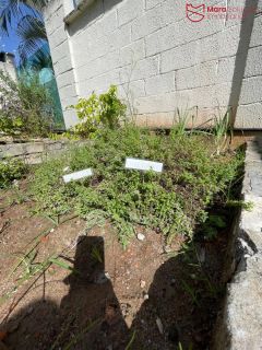 VENDO APARTAMENTO TÉRREO COM GARDEN 2/4 NO CONDOMÍNIO SOLAR DE VILAS.