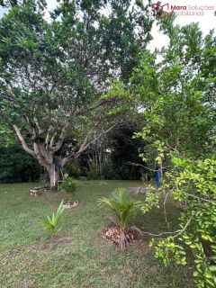 Casa com 3 Quartos à Venda no Condomínio Encontro das Águas | Terreno de 3.441 m² | Pomar | R$ 1.690.000