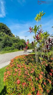 Terreno com 1.800 m² | R$1.000.000,00 | Estrada do Coco
