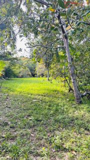 Terreno com 1.800 m² | R$1.000.000,00 | Estrada do Coco