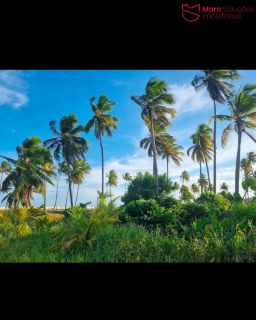 LOTE EM CONDOMINIO FECHADO NA ILHA DE ITAPARICA | PÉ NA AREIA | RECANTO COSTA DE ARATUBA