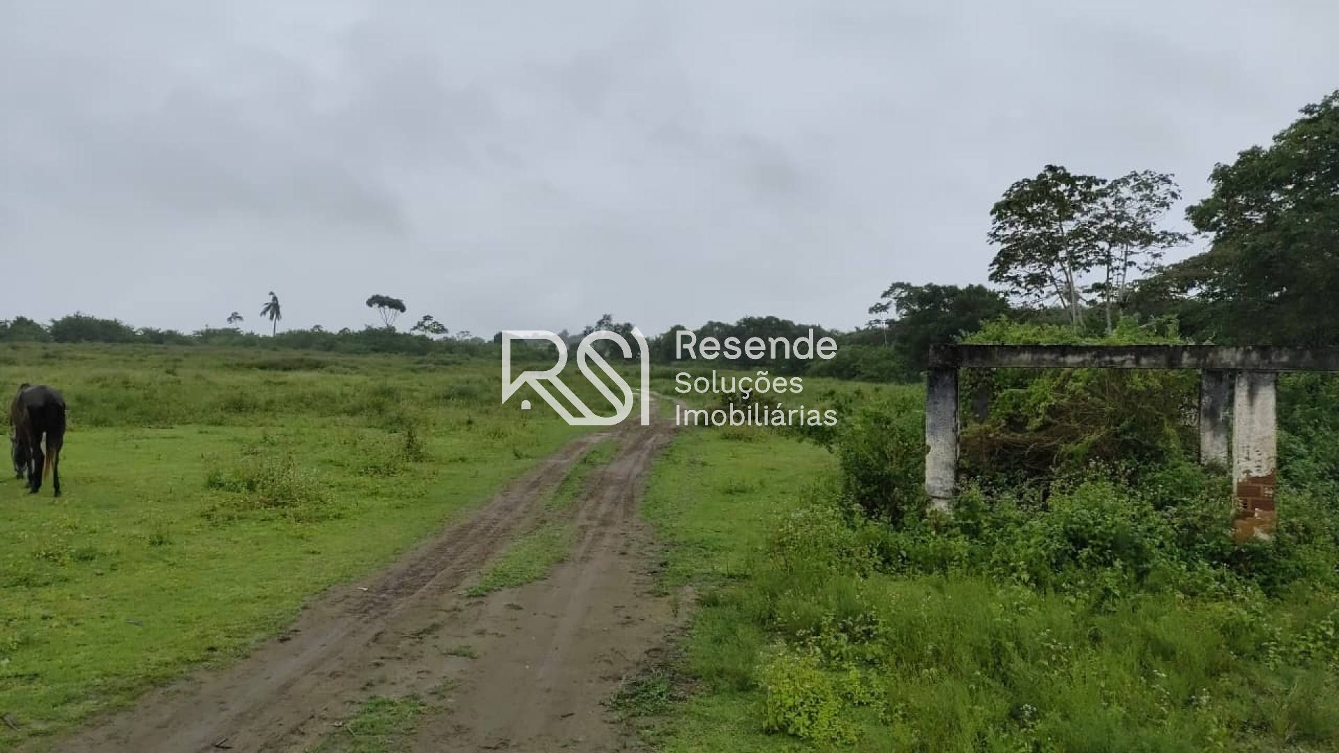 Sítio Para Vender no bairro em Boca Da Mata