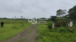 Sítio Para Vender no bairro em Boca Da Mata