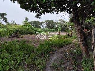 Sítio Para Vender no bairro em Boca Da Mata
