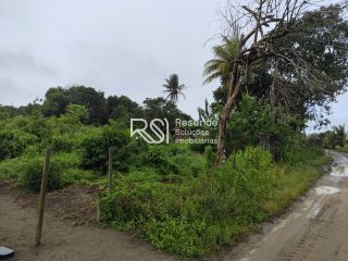 Sítio Para Vender no bairro em Boca Da Mata