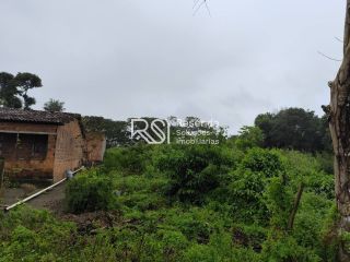 Sítio Para Vender no bairro em Boca Da Mata
