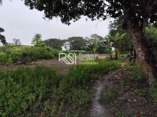Sítio Para Vender no bairro em Boca Da Mata