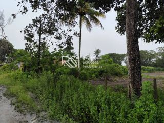 Sítio Para Vender no bairro em Boca Da Mata