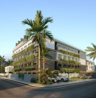 Palm Garden