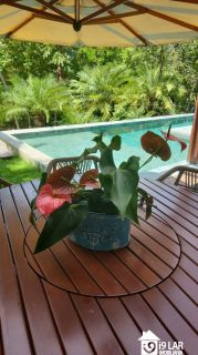 Refúgio de Luxo em Praia do Forte: Casa Design com 6 Suítes, Piscina de 65m² e Privacidade Absoluta