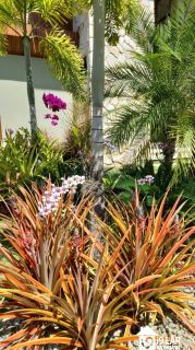 Refúgio de Luxo em Praia do Forte: Casa Design com 6 Suítes, Piscina de 65m² e Privacidade Absoluta