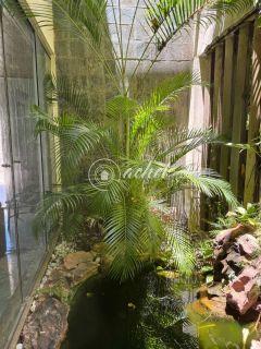 Casa 3/4 dentro de Alameda fechada à venda em Vilas do Atlântico