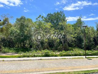 Terreno à venda em Busca Vida