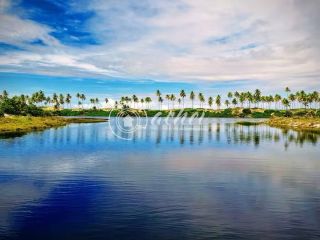 Casa de Alto Padrão à Venda no Condomínio Reserva de Sauípe