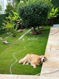 Casa de alameda, 3 suítes no caminho das árvores