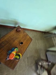 EXCLUSIVIDADE EM VILAS DO ATLÂNTICO | UM VERDADEIRO REFÚGIO TROPICAL