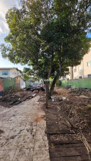 Terreno em Buraquinho/Miragem